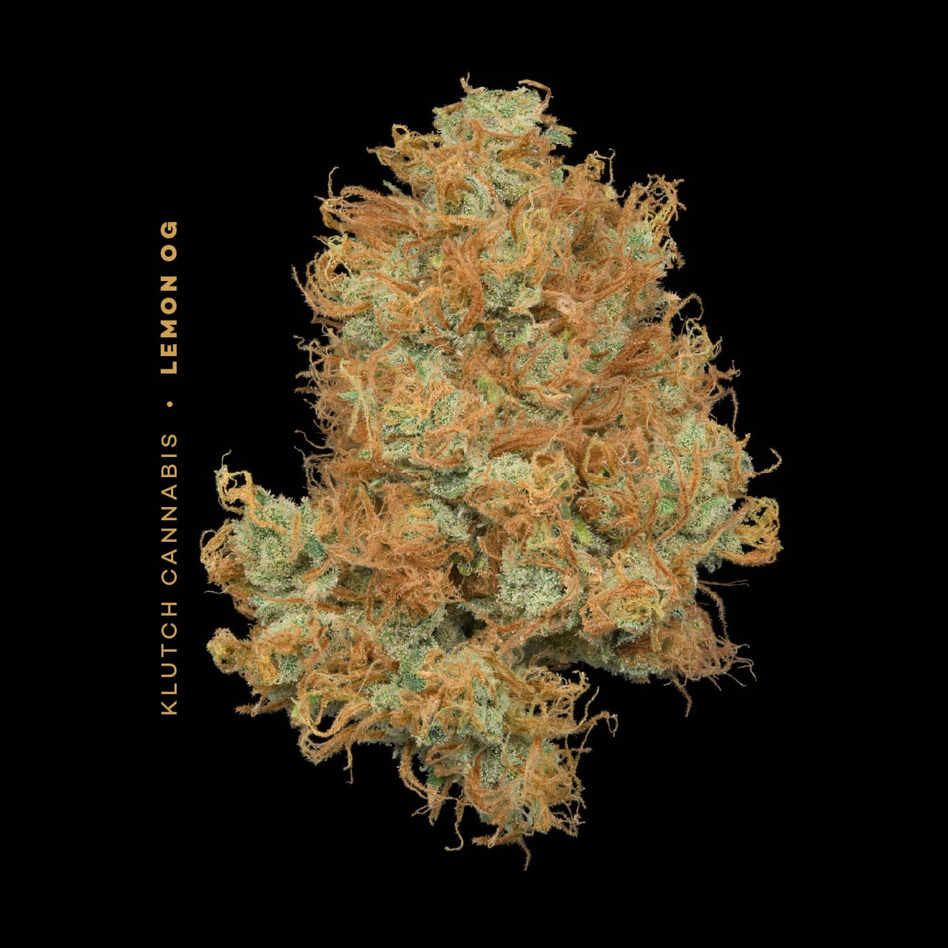 | Lemon OG |