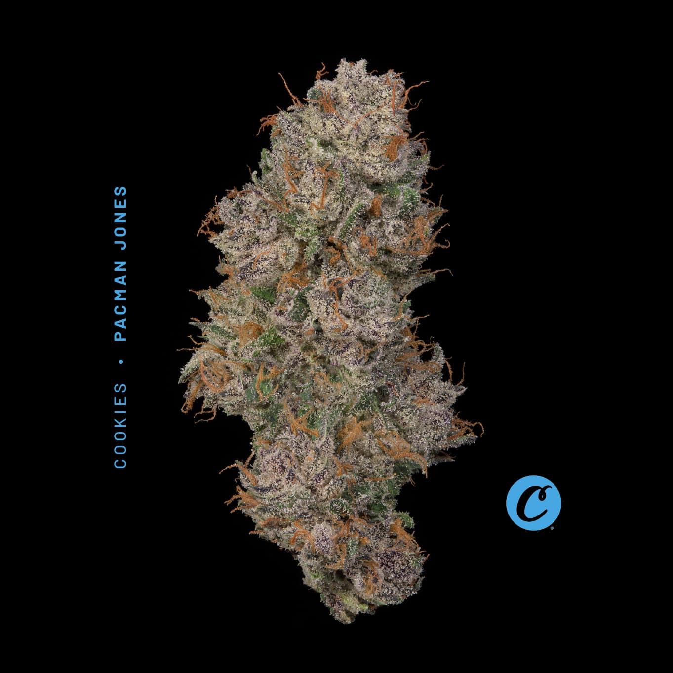 | Pacman Jones Small Buds |