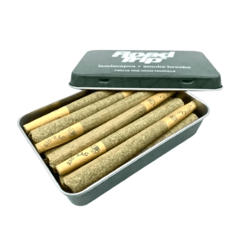 Apple Tart Pre Rolls 12g
