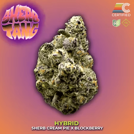 Sherbtang # 1 | Hybrid | [3.5g]