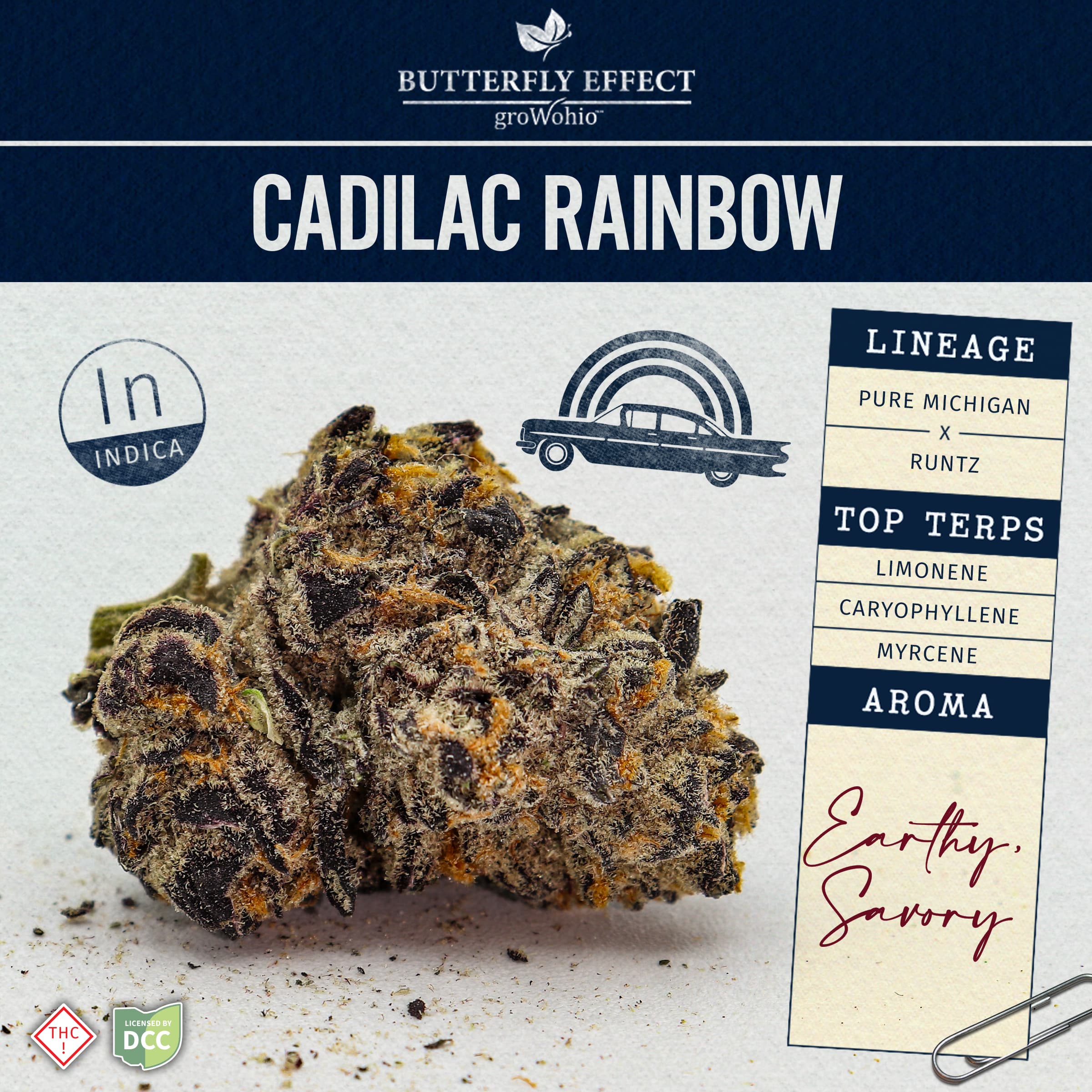 Cadilac Rainbow - 14.15g Whole Flower