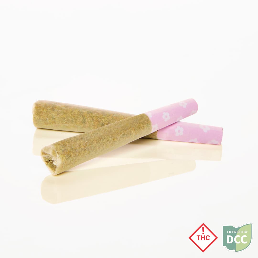 Private Party | Raw Pre-Roll .5g 2pk