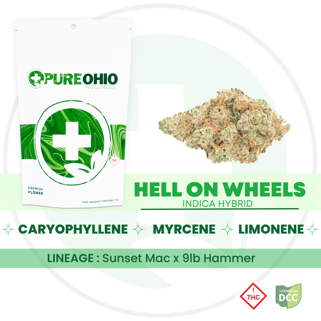 Hell on Wheels (Hybrid) - 14.15g - POW
