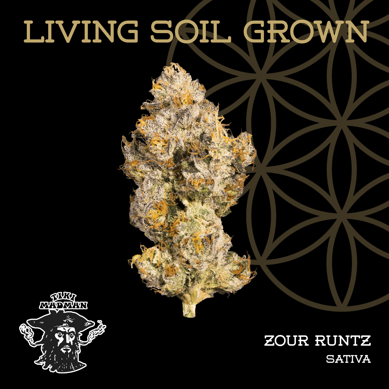 Bulk Bud Zour Runtz