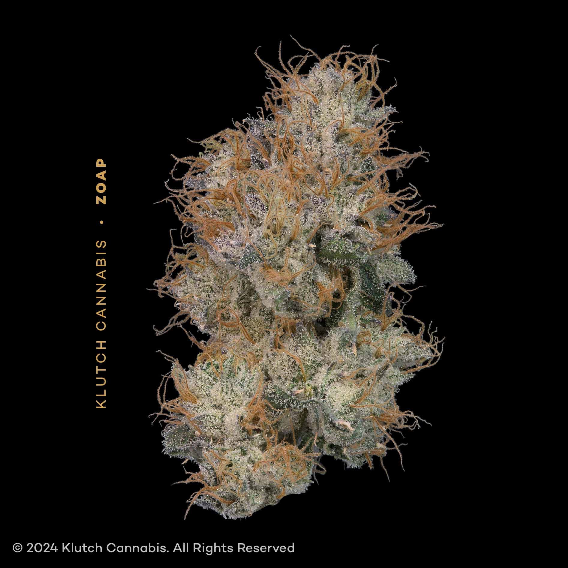 Zoap | 2.83g Premium