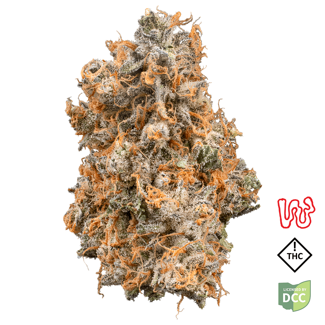 GrapeHead 5.66g