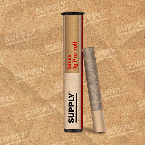 Mango Mintality Pre-Roll 1g