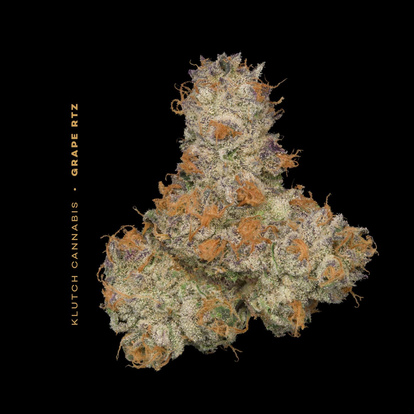 Grape RTZ | 2.83g Premium