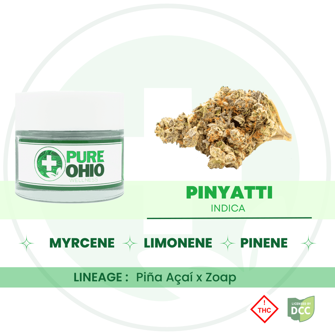 Pinyatti (Hybrid) - 2.83g - POW
