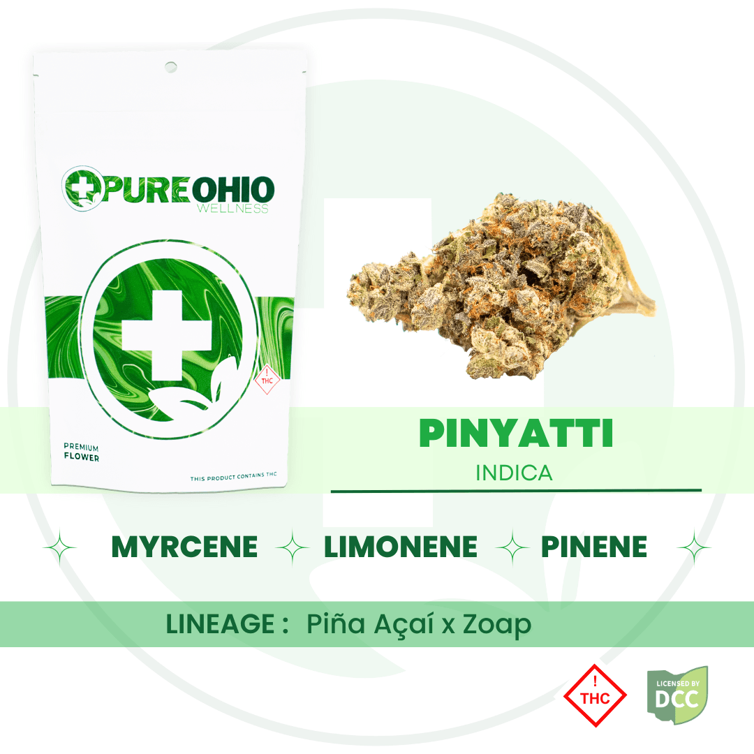 Pinyatti (Hybrid) - 14.15g - POW