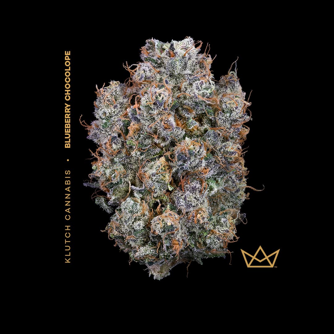 | Blueberry Chocolope |