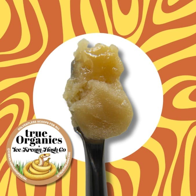 Bananaconda Live Rosin