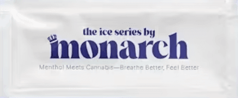 Grape Ice Disposable Vape