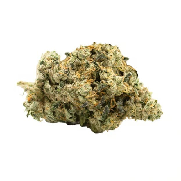 Chem 'n Cookies Flower Mixed Buds - 1300107