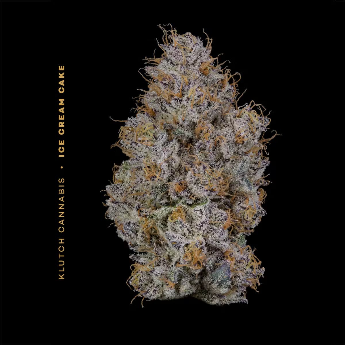 Ice Cream Cake | 14.15g
