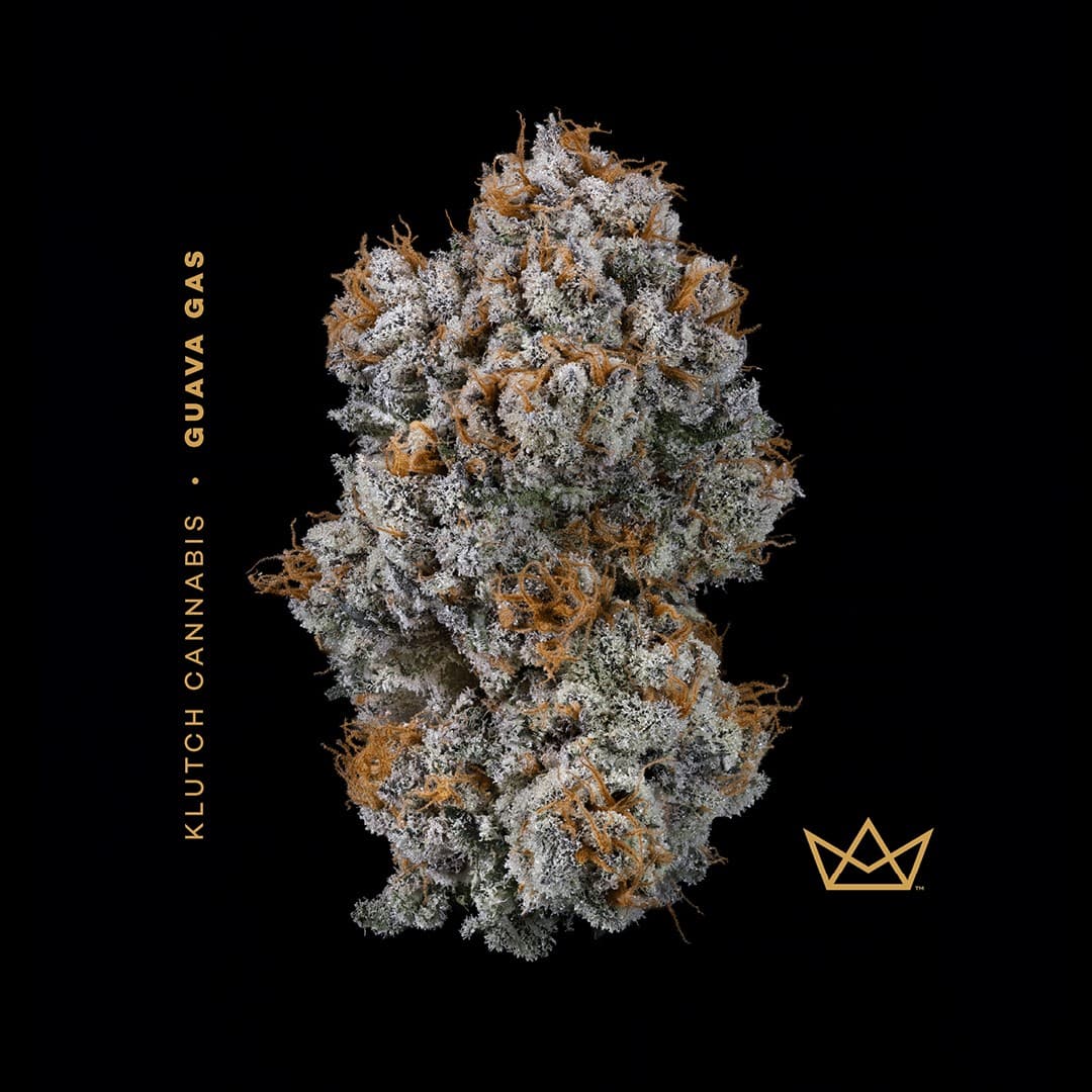 | Guava Gas |