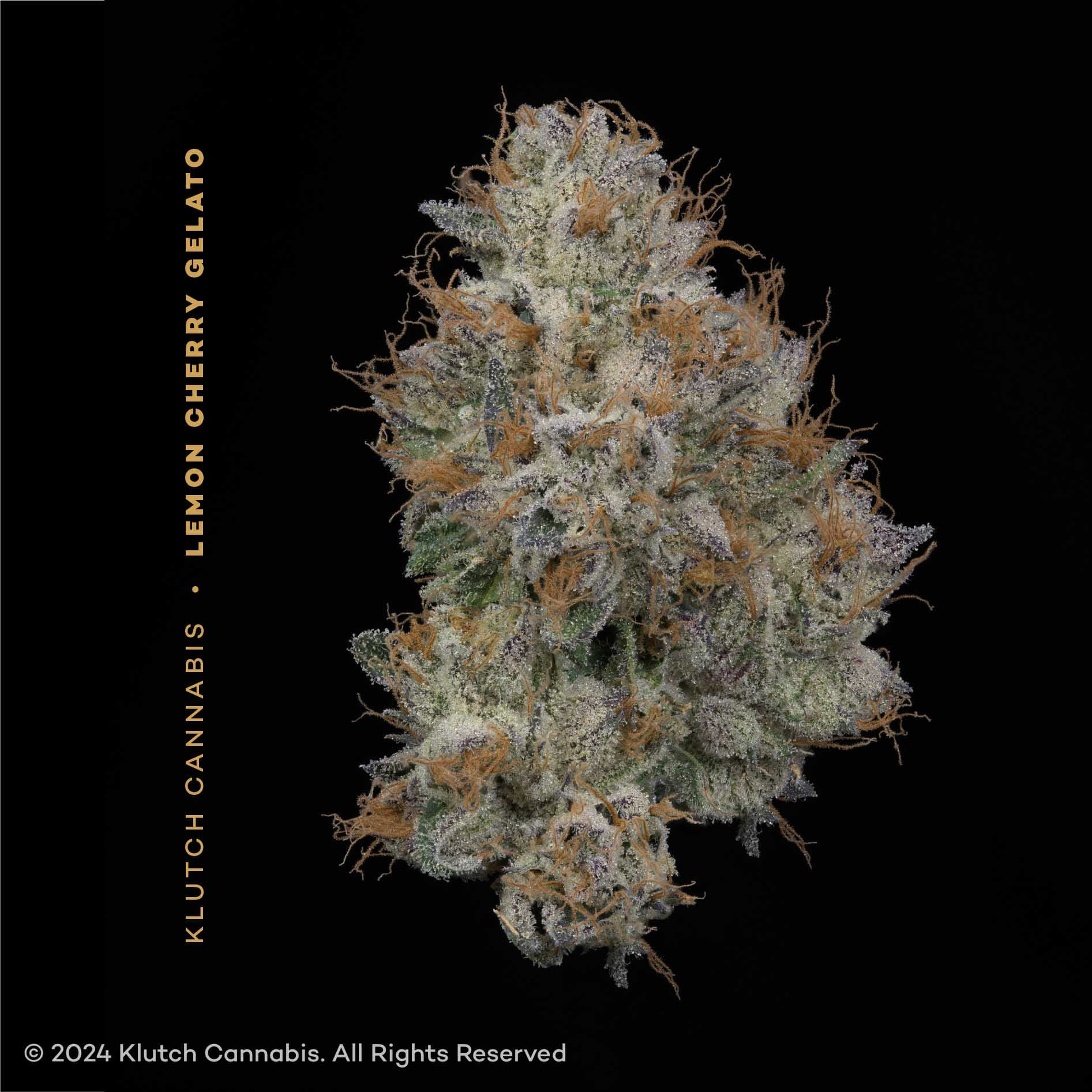 Lemon Cherry Gelato - 2.83g