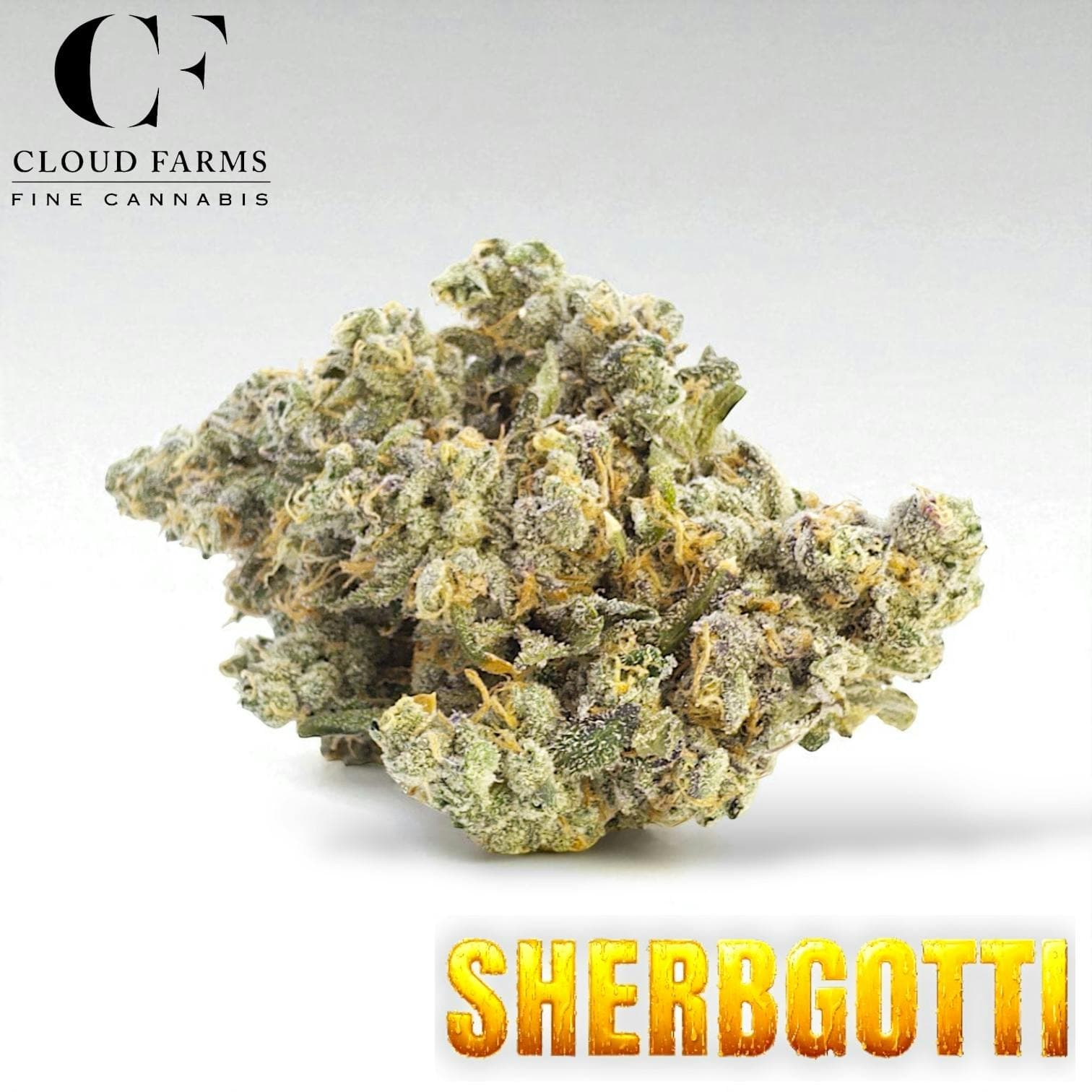 Bulk Bud Sherbgotti