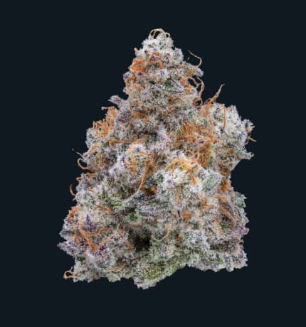 MTF 1 2.83g Sativa Flower