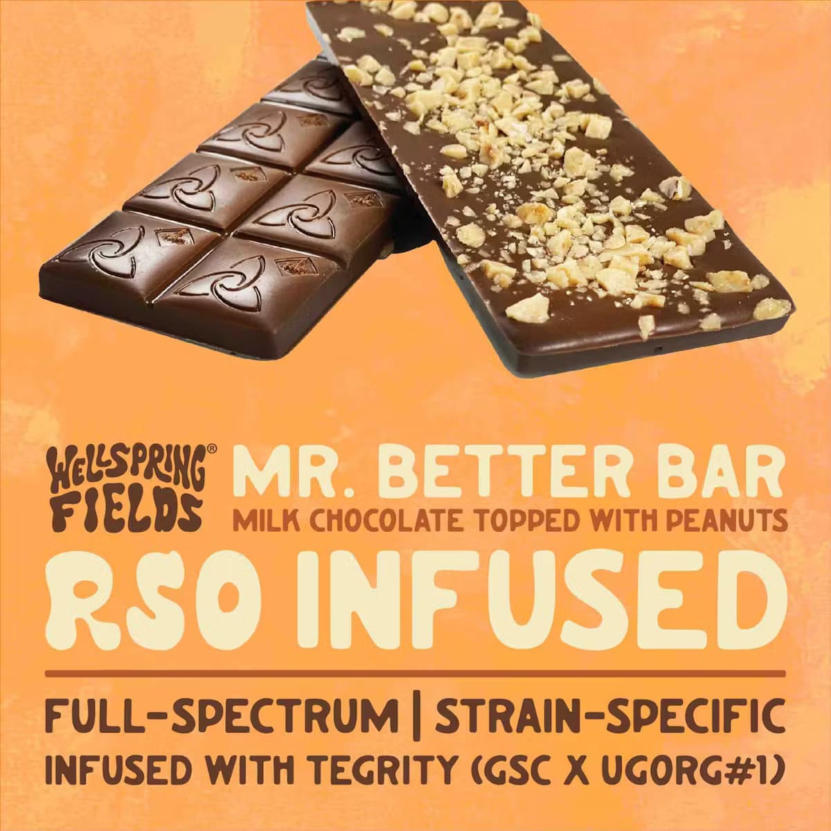 Wellspring Fields: Mr Better - RSO Chocolate Bar 100mg