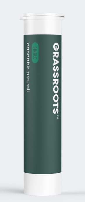 Mimosa Kush Mints