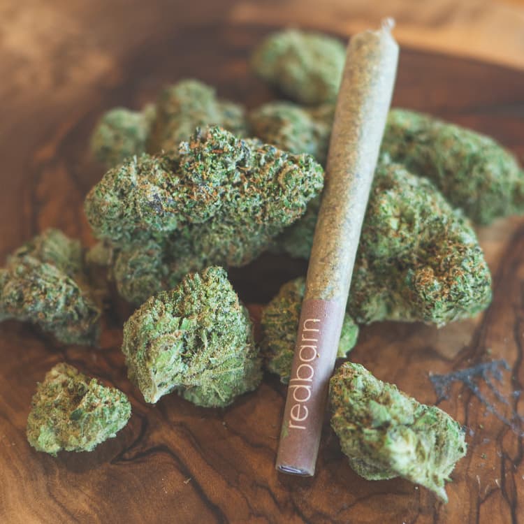 Acapulco Gold Pre Roll