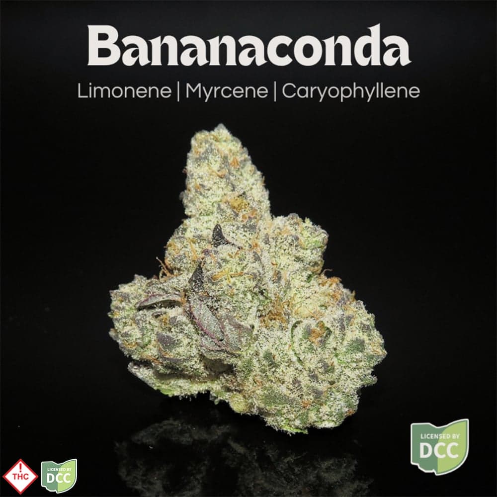 Bananaconda [2.83g]