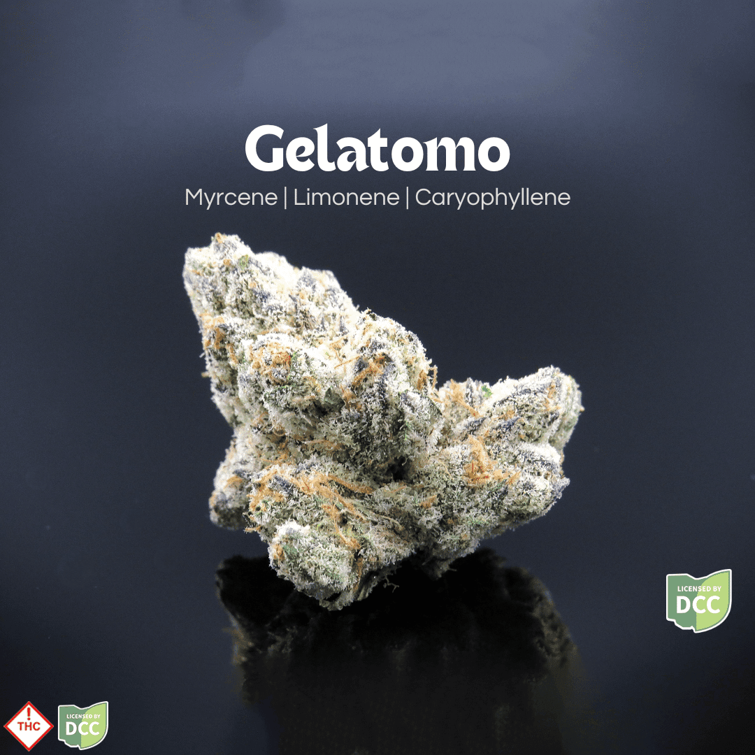 GELmo [2.83g]