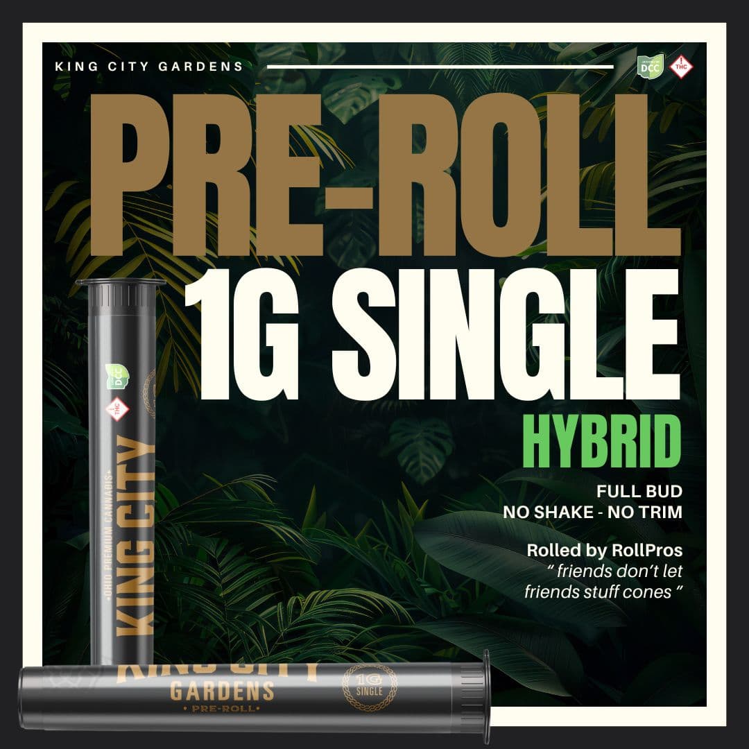 FRITTER QUITTER - PREROLL - [1G] - HYBRID