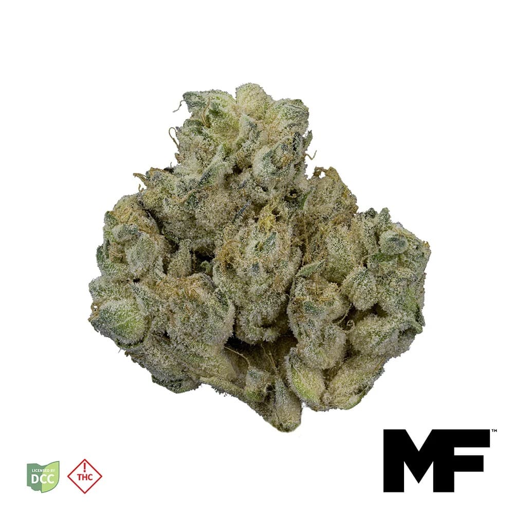 HIPPIE CRASHER - [28.3G] - INDICA
