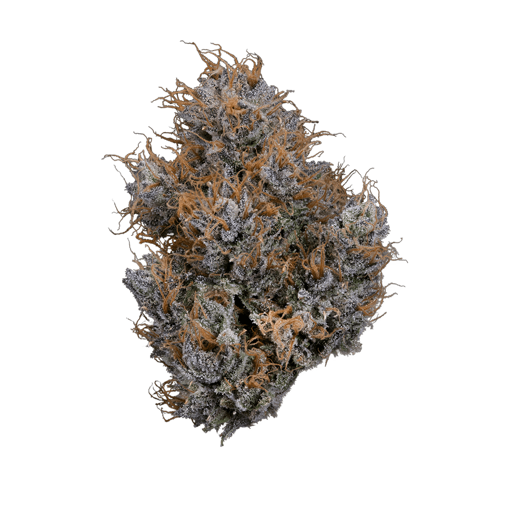 FUMEZ - [3.54G] - INDICA