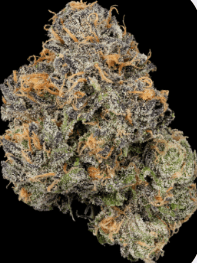 Granddaddy Purp Buds