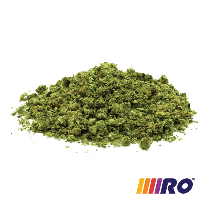 Frt Gshrs Sugar Leaf