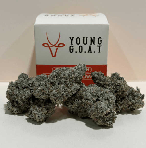 G.o.a.t Octane Mints