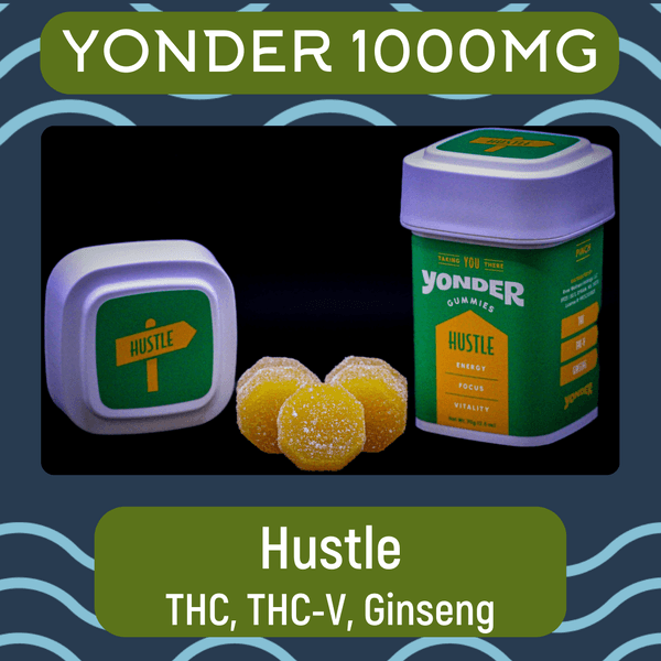Hustle 10pk