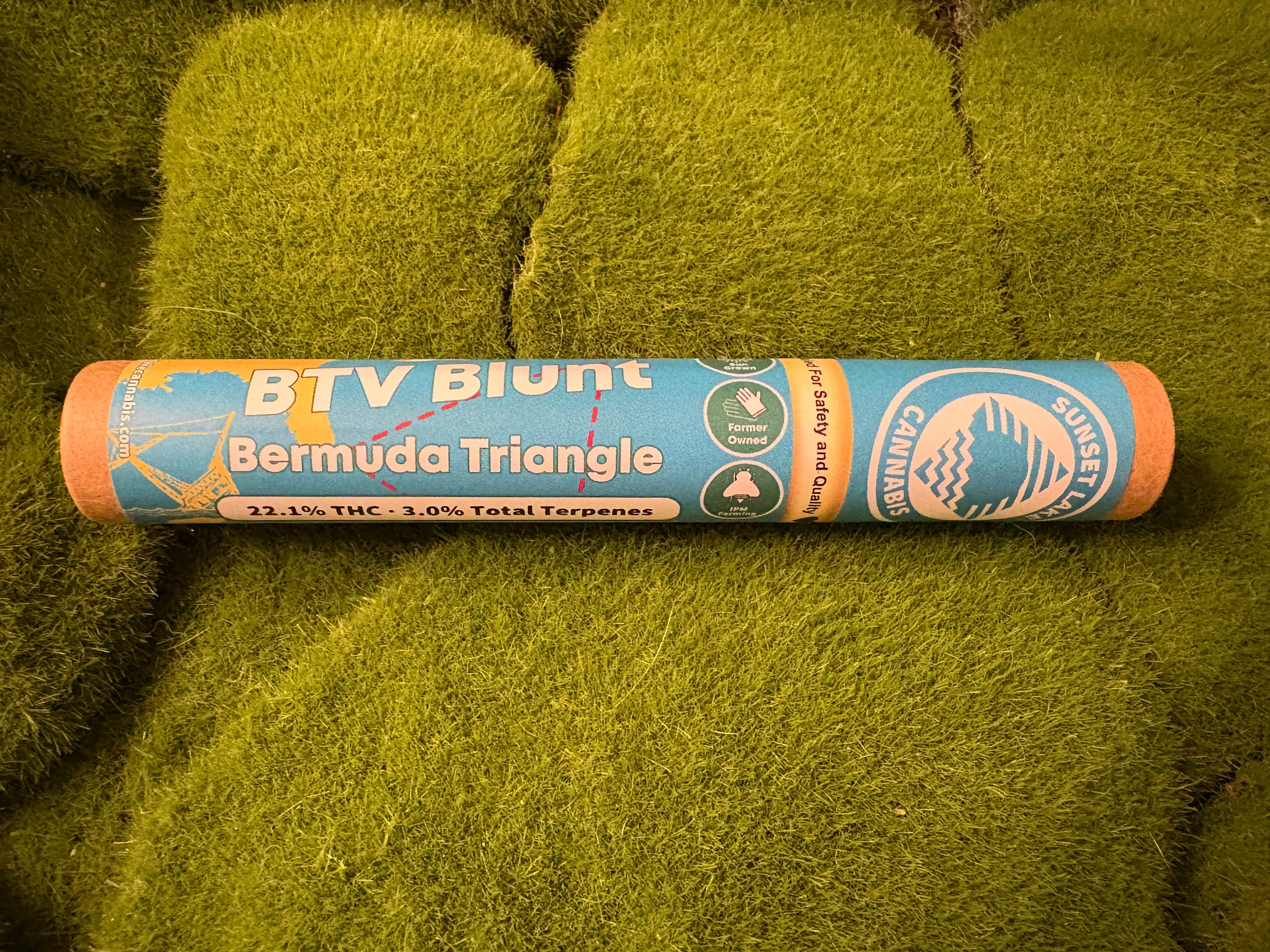 Bermuda Triangle