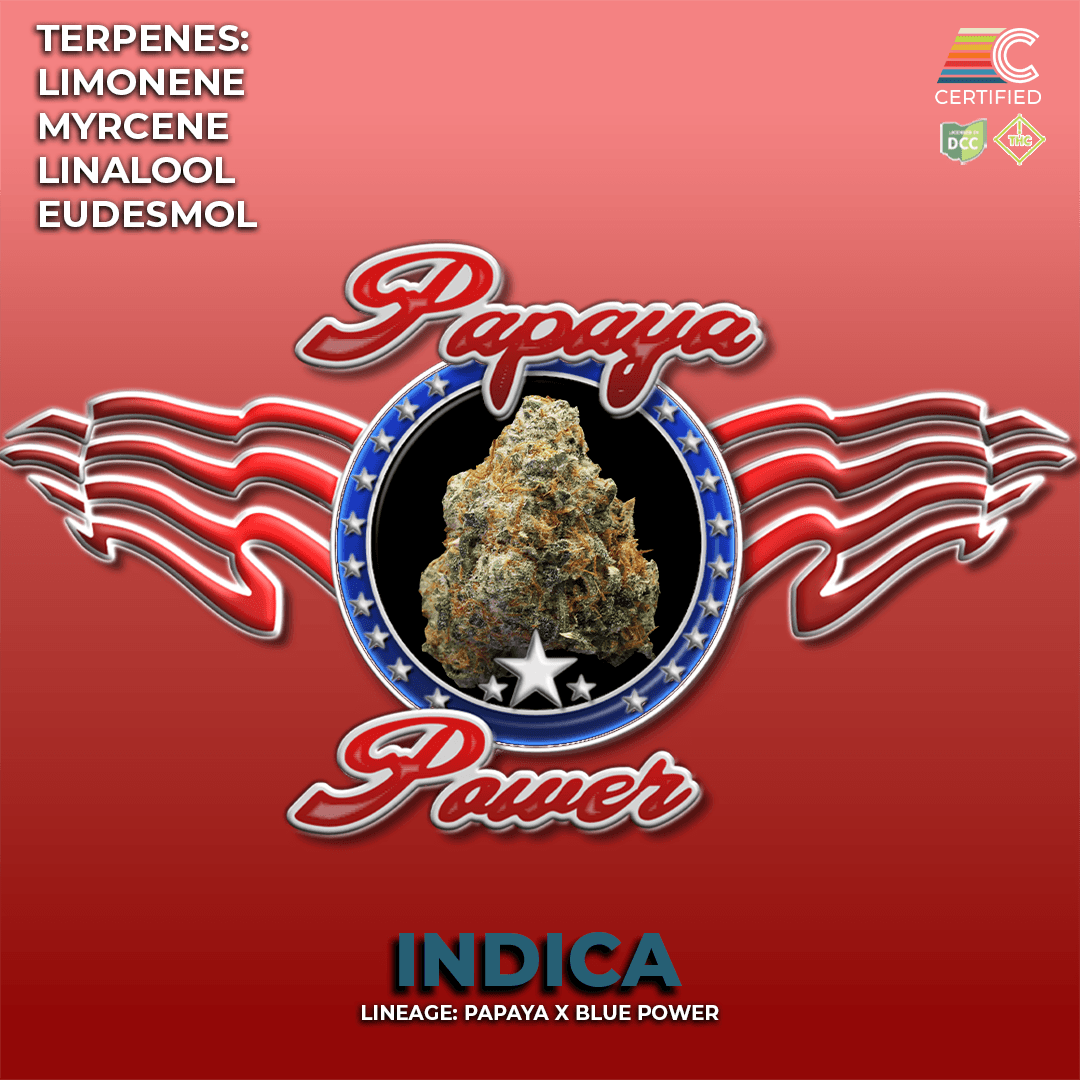 Cultivators | Papaya Power (Buds) | 2.83g | Indica