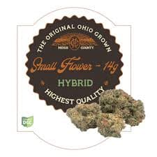 Cactus Cookies | H | 2.83g