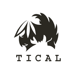 TICAL logo
