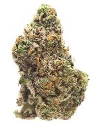 Apple Fritter Headbanger