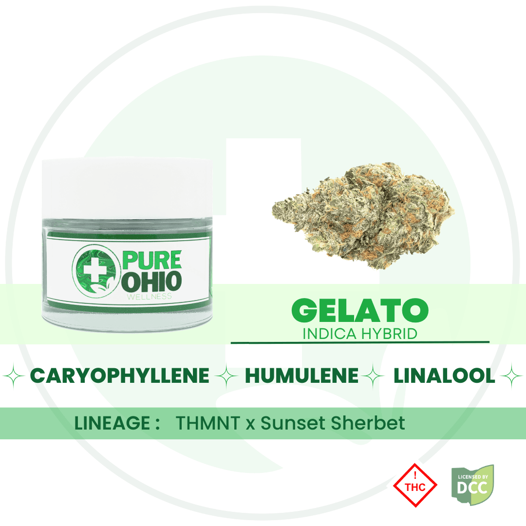 Gelato (Indica-Hybrid) - 2.83g - POW