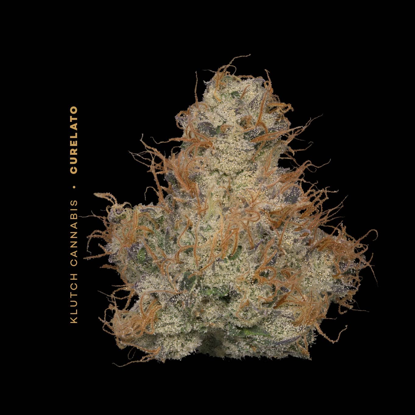 Curelato (Buds) | 2.83g | Hybrid