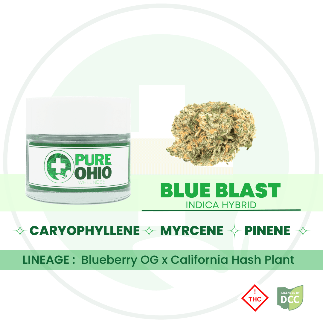 Blue Blast - (Indica Hybrid) - 2.83g - POW