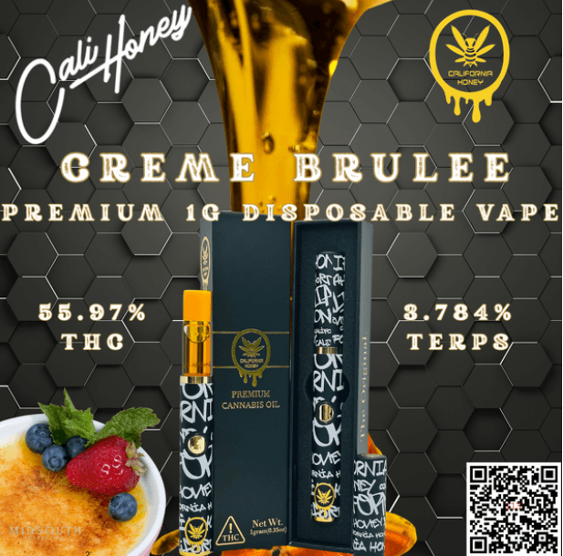 Creme Brulee Disposable