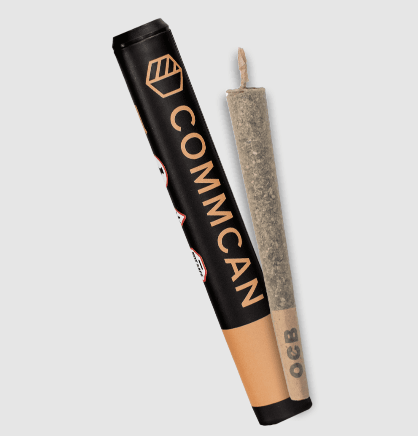 Pre Roll Gmo