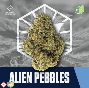 Alien Pebbles | H | 2.83g