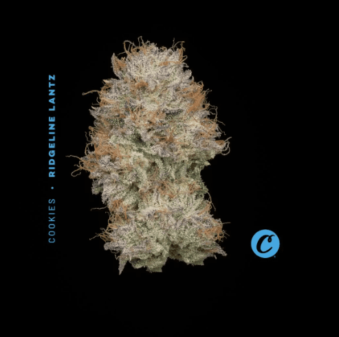 Ridgeline Lantz | 2.83 | Cookies | Hybrid |