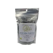 Sea Turtles