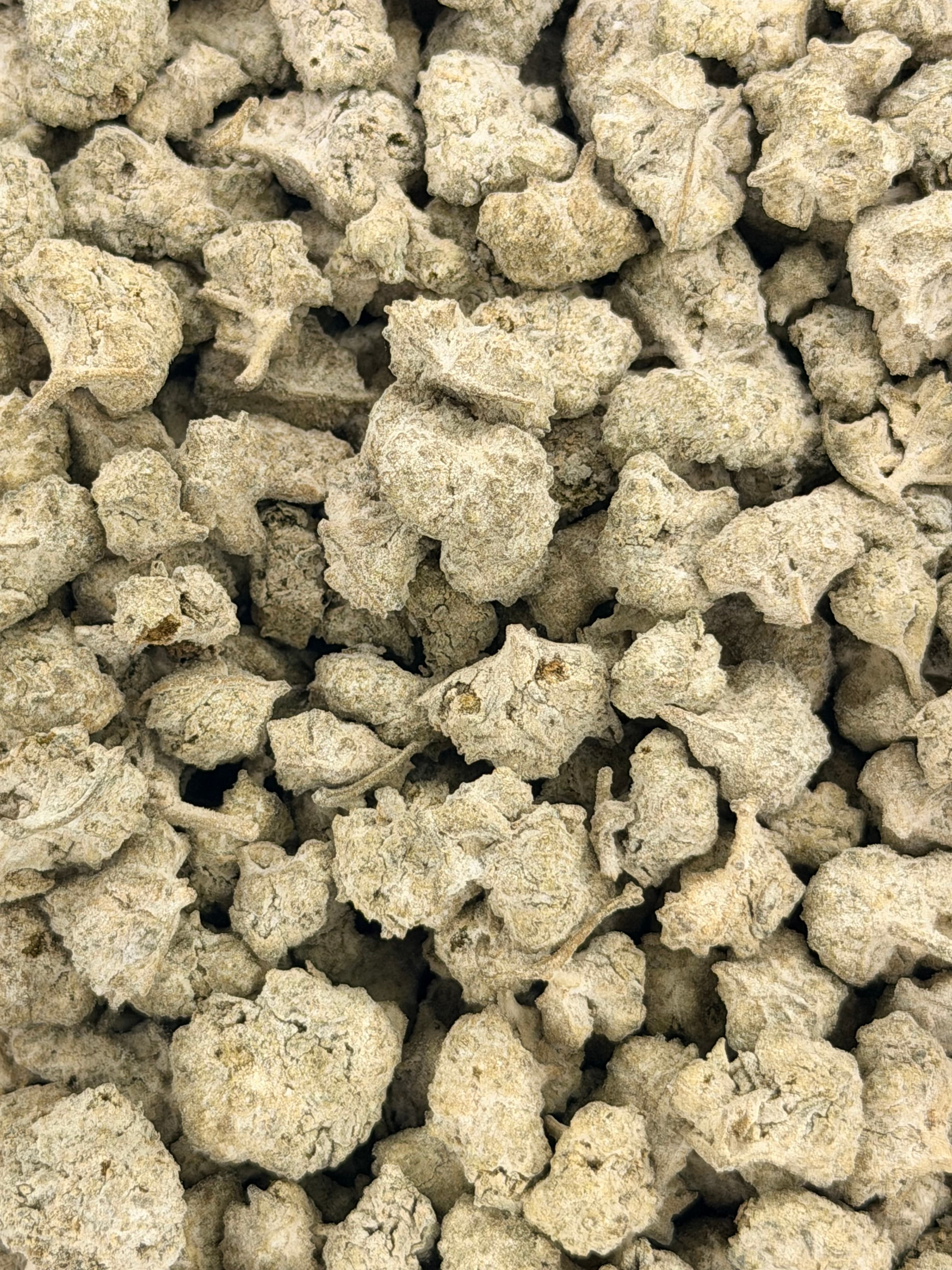 Krack Rockz Nyc Big Apple