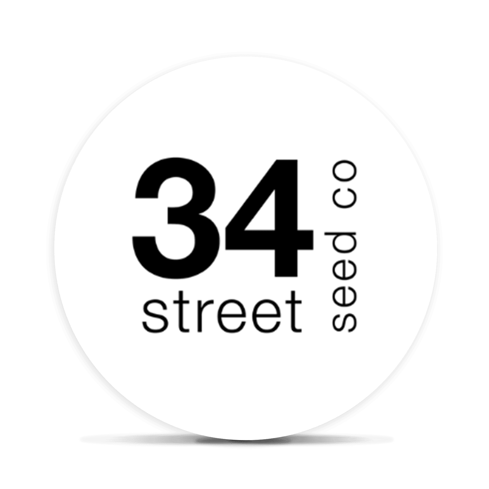 Jack Herrer Feminized Photoperiod Seeds